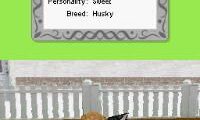 Petz – My Puppy Family (Europe) (En,Fr,De,Es,It,Nl,Sv,No,Da)