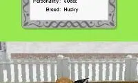 Petz – My Puppy Family (Europe) (En,Fr,De,Es,It,Nl,Sv,No,Da)