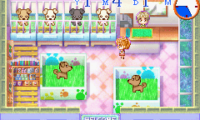 Petz Vet (U)(Rising Sun)