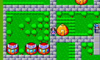 Phantasy Star (Brazil)