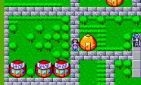 Phantasy Star (Brazil)
