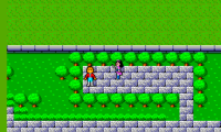Phantasy Star (Japan)