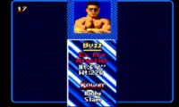 Pit Fighter (Brazil)