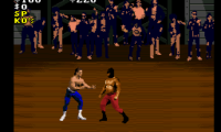 Pit-Fighter (USA)