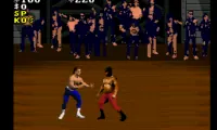 Pit-Fighter (USA)