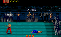 Pit-Fighter (World) (July 1991)