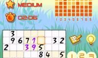 Platinum Sudoku (Europe) (En,Fr,De,Es,It)