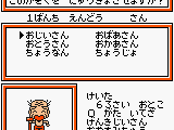 Pocket Family GB2 (Japan)