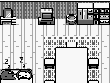 Pocket Family (Japan)