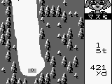 Pocket Golf (Japan)