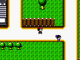 Pocket Lure Boy (Japan)