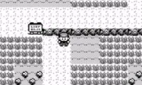 Pocket Monsters Aka (Japan)