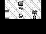 Pocket Monsters Ao (Japan)