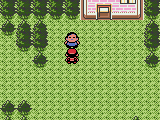 Pocket Monsters Kin (Japan)