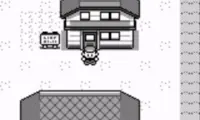 Pocket Monsters Midori (Japan)