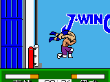 Pocket Pro Wrestling – Perfect Wrestler (Japan)
