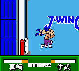 Pocket Pro Wrestling – Perfect Wrestler (Japan)