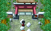 Pocky &amp; Rocky 2 (USA)