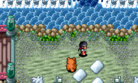 Pocky & Rocky 2 (USA) (Beta)