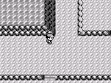 Pokemon Blue Gender Selection