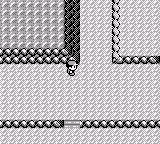 Pokemon Blue Gender Selection