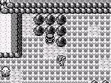 Pokemon Brown 2014
