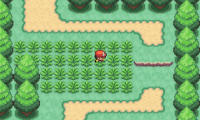 Pokemon Clover v1.3.3