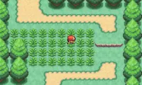 Pokemon Clover v1.3.3