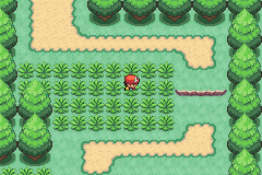 Pokemon Clover v1.3.3