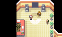 Pokemon Cope v0.9.5