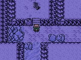Pokemon Coral Version (2022 DEMO v1.2)