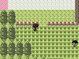 Pokemon Crystal Clear Standard (v2.5.5)