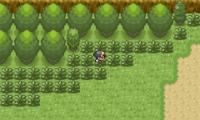 Pokemon Diabound Beta 1.0