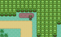 Pokemon Elite Redux v1.5.2