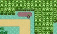 Pokemon Elite Redux v1.5.2