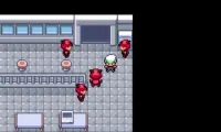 Pokemon Elite Redux v2.2.1
