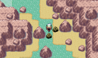 Pokemon Emerald Extreme Randomizer
