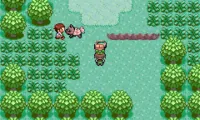Pokemon Emerald Multiplayer (Alpha 4 V2)