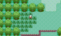 Pokemon Emerald Rebirth Reborn