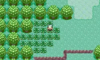 Pokemon Emerald Rebirth Reborn