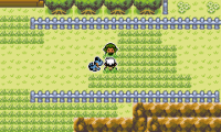 Pokemon Emerald Seaglass 3.0