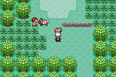 Pokemon Emerald’s Eight v1.5