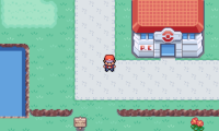 Pokemon Evolved