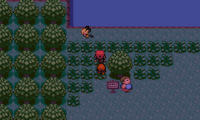 Pokemon Exceeded v10.1