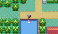 Pokemon Exceeded v2.0