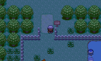 Pokemon Exceeded v9.0