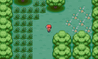 Pokemon My Ass