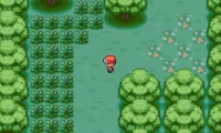 Pokemon My Ass
