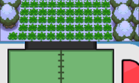 Pokemon Origin Platinum V1.4