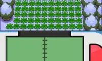 Pokemon Origin Platinum V1.4